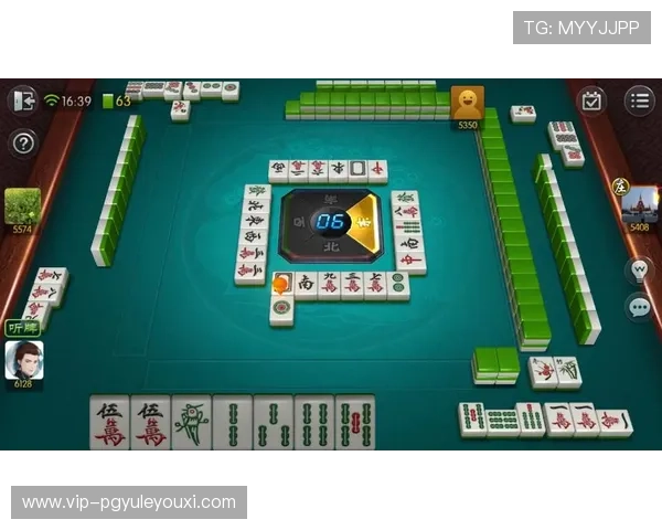 专家解读PG游戏麻将的玩法创新与安全保障措施,保障玩家权益